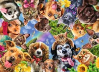 funny-animal-selfie-jigsaw-puzzle-500-pieces.81650-1.fs.jpg