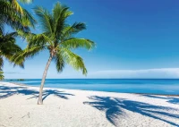 beach-escape-jigsaw-puzzle-1000-pieces.81654-1.fs.jpg