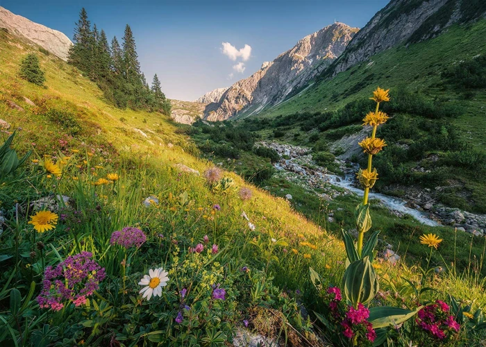 in-the-garden-of-eden-jigsaw-puzzle-1000-pieces.81658-1.fs.jpg