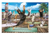 pieces-xxl-yoga-spa-puzzle-500-pieces.79773-1.fs.jpg