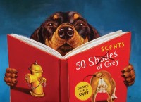 xxl-pieces-50-scents-of-grey-jigsaw-puzzle-500-pieces.81601-1.fs.jpg