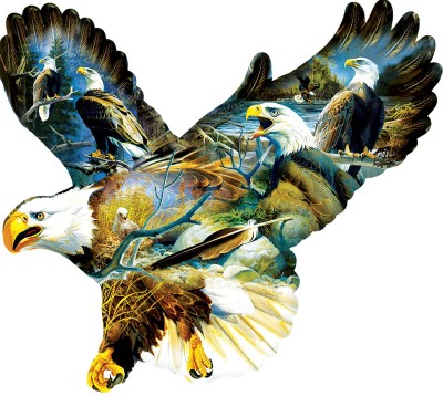 SunsOut 1000 - Don Kloeztke - Eagle Majesty