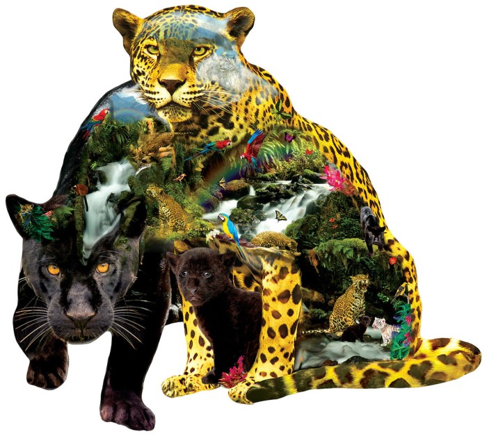 alixandra-mullins-black-beauty-jigsaw-puzzle-1000-pieces_64449-1_fs.jpg