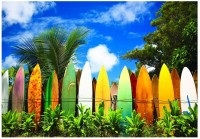 le-paradis-des-surfers-hawaii-puzzle-1000-pieces.42180-1.fs.jpg