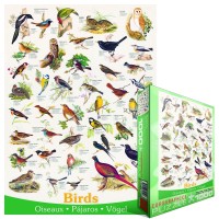 affiche-sur-les-oiseaux-puzzle-1000-pieces.41886-3.fs.jpg