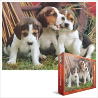 jigsaw-puzzle-1000-pieces.42483-2.fs.jpg