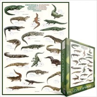 crocodiles-et-alligators-puzzle-1000-pieces.42511-2.fs.jpg