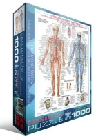 systeme-circulatoire-puzzle-1000-pieces.42512-3.fs.jpg