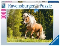 lucky-horse.81725-2.fs.jpg