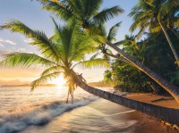 secret-beach.81728-1.fs.jpg