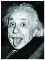 einstein-langue-puzzle-1000-pieces.42296-1.fs.jpg