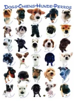races-de-chien-classiques-puzzle-1000-pieces.42318-1.fs.jpg