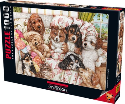 Anatolian 1000 - Debbie Cook, The puppies