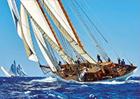 18490_02.jpg