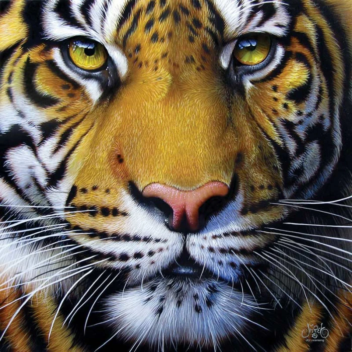jurek-golden-tiger-face-jigsaw-puzzle-1000-pieces_45200-1_fs.jpg