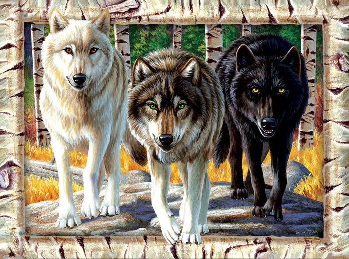 cynthie-fisher-wolf-pack-colors-jigsaw-puzzle-1000-pieces_64243-1_fs.jpg