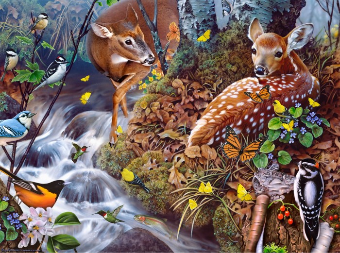 jerry-gadamus-fawn-song-jigsaw-puzzle-1000-pieces.81301-1.fs.jpg