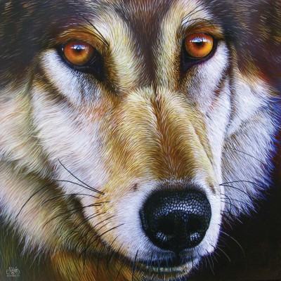 SunsOut 1000 - Jurek - Wolf Face