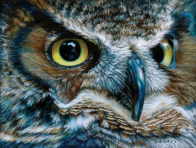 SunsOut 1000 - Carla Kurt - Dark Owl