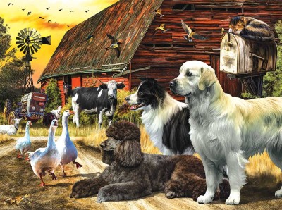 SunsOut 1000 - Farm Lives Matter
