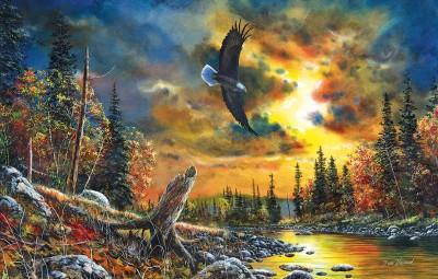 SunsOut 1000 - Sky Watcher