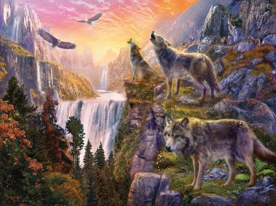 SunsOut 1000 - Jan Patrik Kransy - Wolf Sun