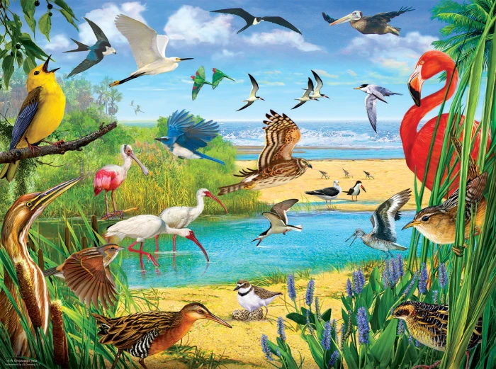 r--christopher-vest-florida-birds-jigsaw-puzzle-1000-pieces.81355-1.fs.jpg