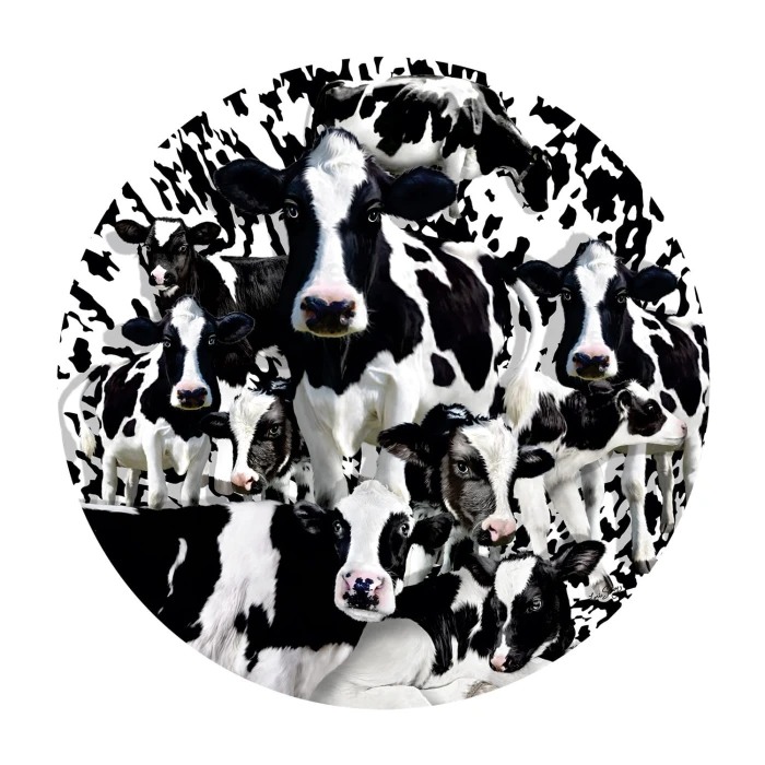 lori-schory-herd-of-cows-jigsaw-puzzle-1000-pieces.81254-1.fs.jpg
