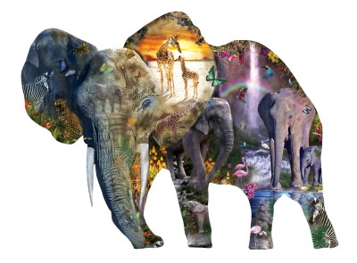 SunsOut 1000 - Alixandra Mullins - Elephant Waterfall