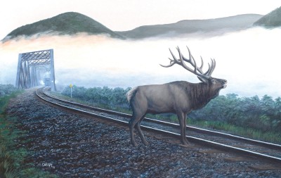 SunsOut 550 - Dan Christ - Elk Tracks