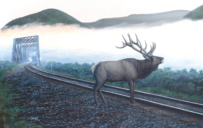 dan-christ-elk-tracks-jigsaw-puzzle-550-pieces.81298-1.fs.jpg