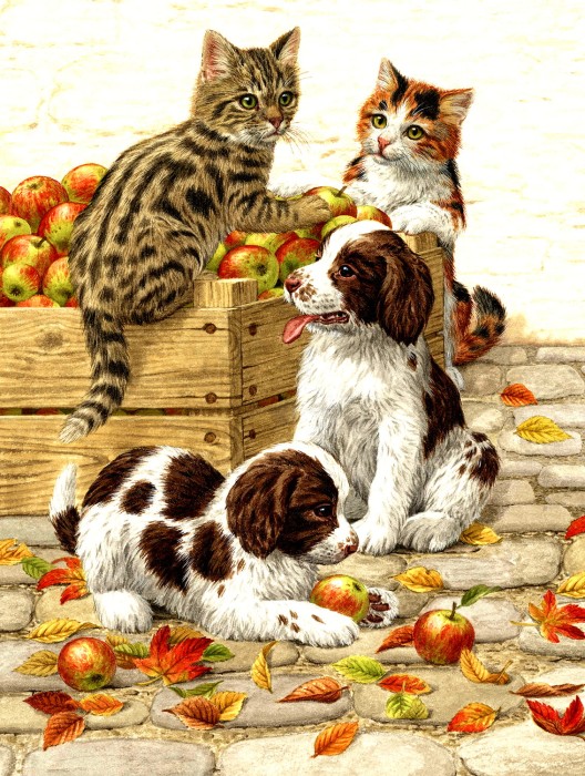 sarah-adams-box-of-apples-jigsaw-puzzle-500-pieces.81311-1.fs.jpg