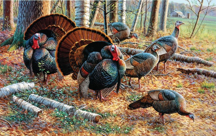 cynthie-fisher-spring-strut-jigsaw-puzzle-550-pieces.81357-1.fs.jpg
