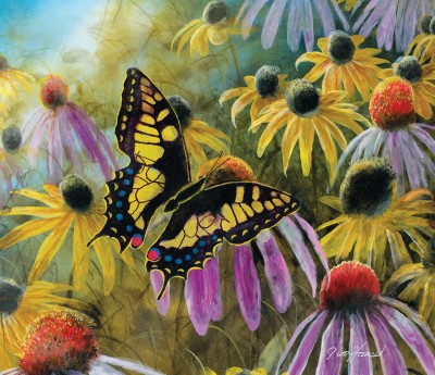 SunsOut 550 - Jim Hansel - Swallowtail Vistor