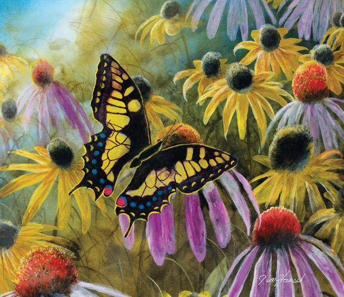 jim-hansel-swallowtail-vistor-jigsaw-puzzle-550-pieces.81339-1.fs.jpg
