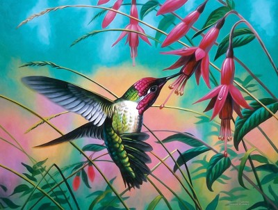 SunsOut 500 - Cynthie Fisher - Hummingbird Haven