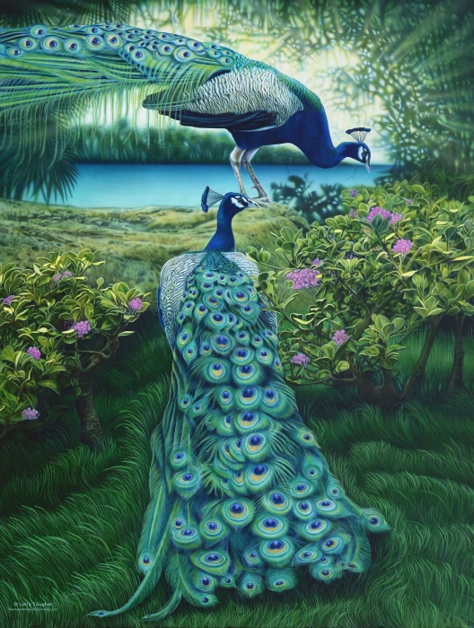 larry-taugher-a-pair-of-peacocks-jigsaw-puzzle-500-pieces.81295-1.fs.jpg