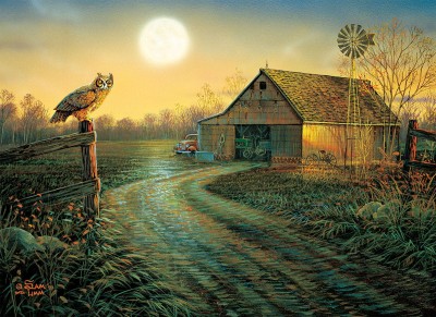 SunsOut 500 - Sam Timm - Late Summer's Eve