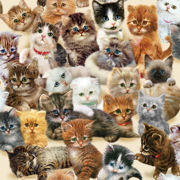 kittens-for-the-taking-jigsaw-puzzle-500-pieces.82379-1.fs.jpg