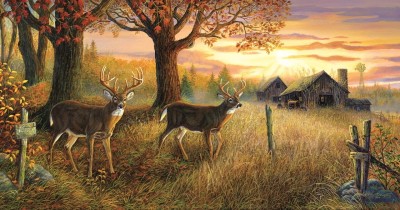 SunsOut 1000 - Terry Doughty - Unknown Sanctuary