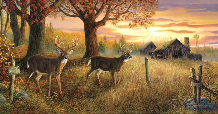 terry-doughty-unknown-sanctuary-jigsaw-puzzle-1000-pieces_65876-1_fs.jpg