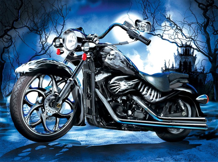 jim-todd-skeleton-ride-jigsaw-puzzle-1000-pieces_65872-1_fs.jpg