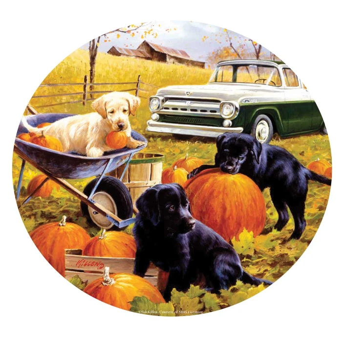 pumpkin-patch-jigsaw-puzzle-500-pieces.82451-1.fs.jpg