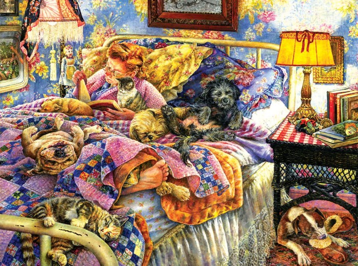 susan-brabeau-pet-bed-jigsaw-puzzle-1000-pieces_64100-1_fs.jpg