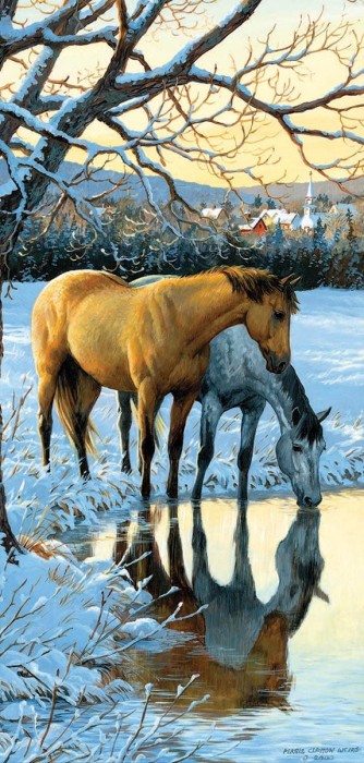 persis-clayton-weirs-reflections-jigsaw-puzzle-1000-pieces_64178-1_fs.jpg