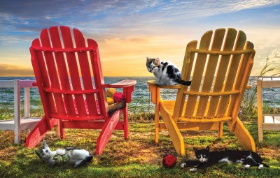SunsOut 1000 - Celebrate Life Gallery - Cat Nap at the Beach