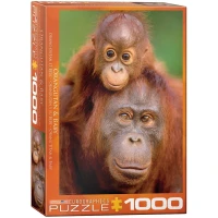 orangutan-baby-jigsaw-puzzle-1000-pieces.53263-2.fs.jpg