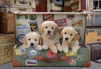 puppies-in-the-luggage-jigsaw-puzzle-500-pieces.65249-1.fs.jpg