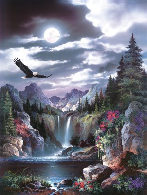 SunsOut 300 - James Lee - Moonlit Eagle