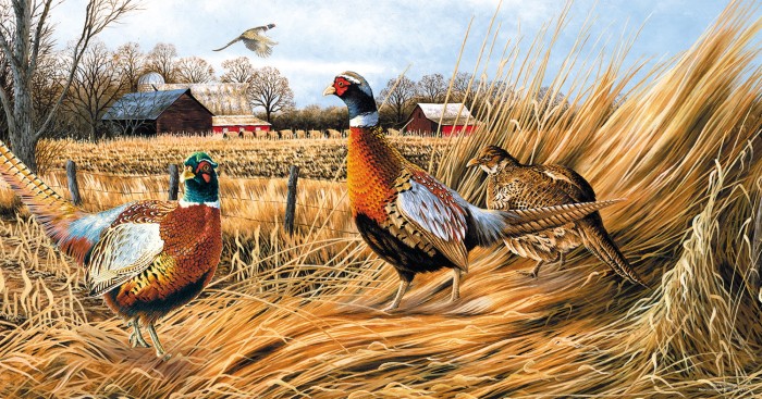 robert-schmidt-pheasant-farm-jigsaw-puzzle-500-pieces.81303-1.fs.jpg
